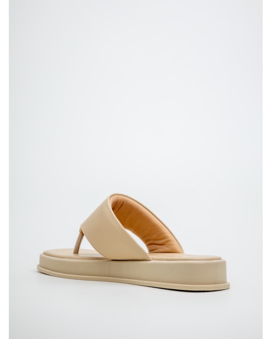 image_a2dab547-6951-441f-9e83-945c198e6e5c