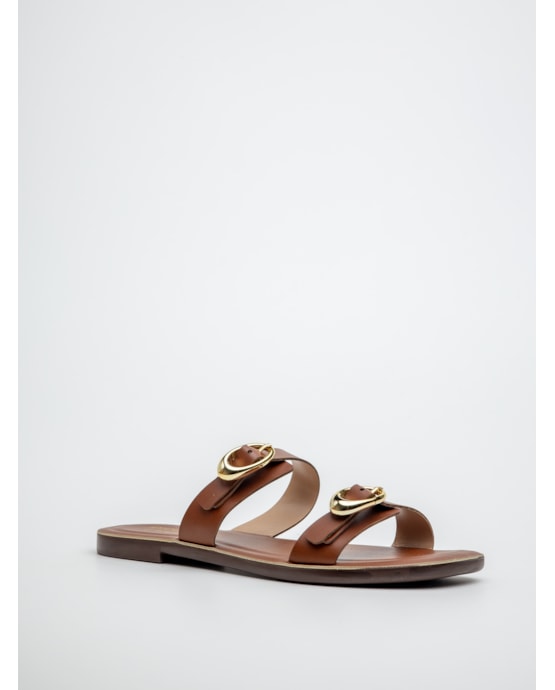 image_e672a68d-4d19-4c2f-bbb3-c9042ab20fd8