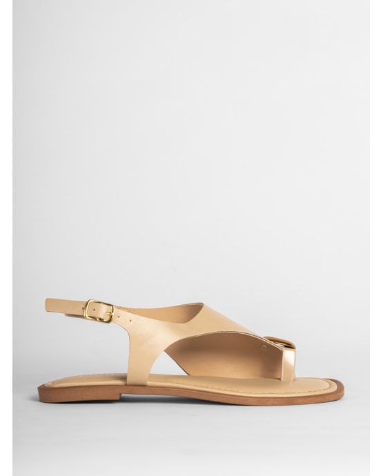 image_411cc143-11ac-41ee-b9b3-baeec5bc9e7e