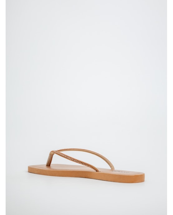 image_afc22e5e-bd0b-4123-a2e5-a4a962b860fe