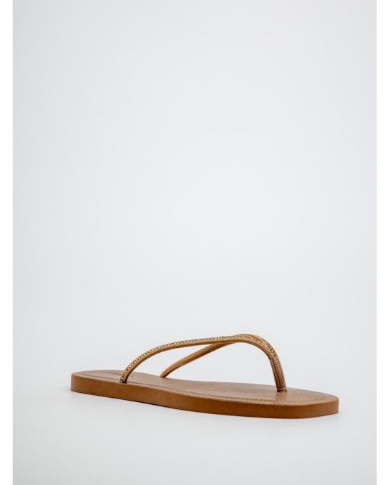 image_e460b574-6b69-4edd-b801-a78b31f5399c