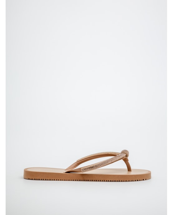 image_ee073764-4f39-4670-a0cf-b77e71f99ded