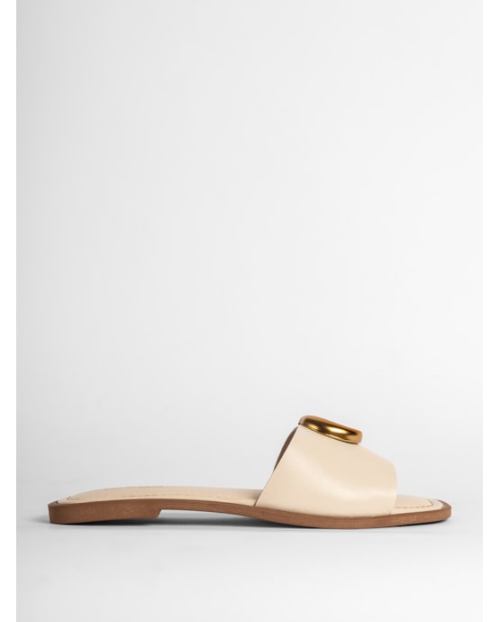 image_69ae45bd-6b7f-47c1-b89a-b8f982b4e53f